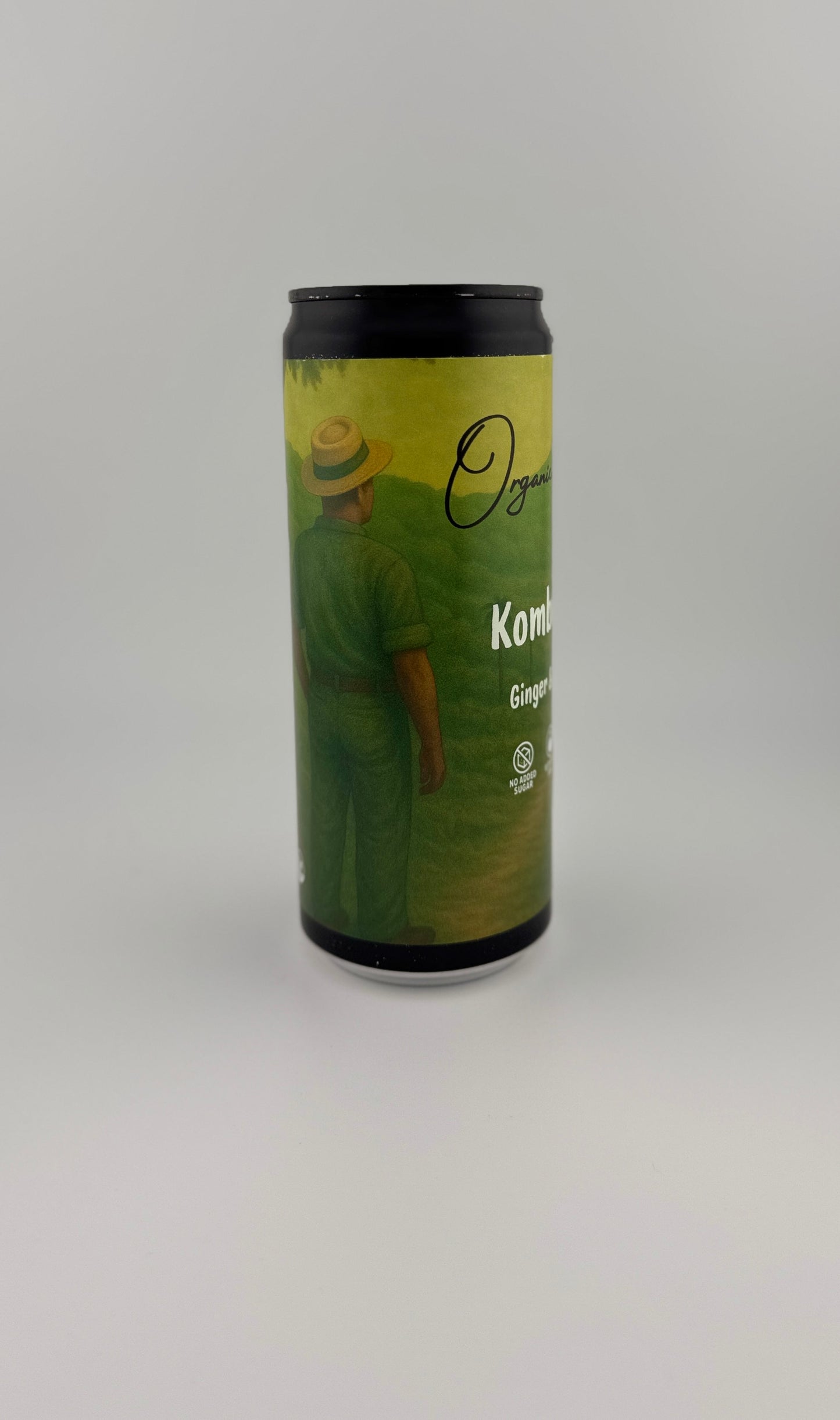 Kombucha – Ginger & Lemon (6-pack)