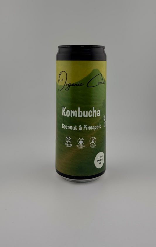 Kombucha – Coconut & Pineapple (6-pack)