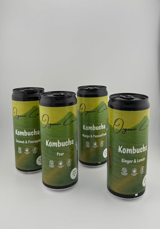 Kombucha - Mix Pack