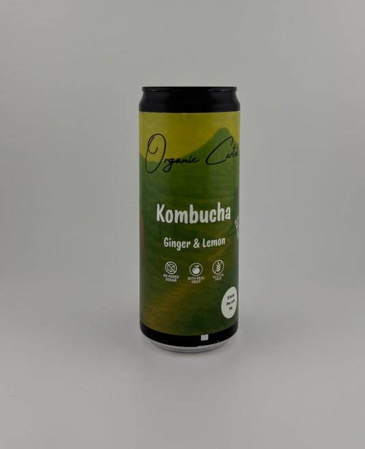 Kombucha – Ginger & Lemon (6-pack)